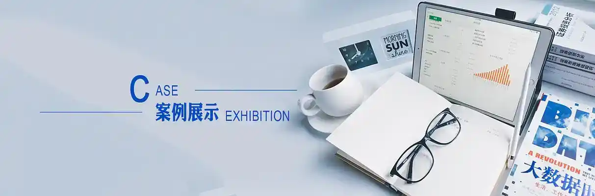 赤坎区软件开发